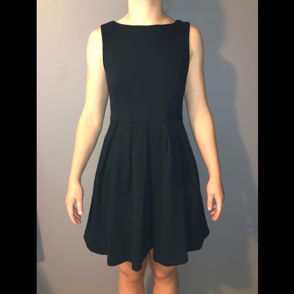 Zara Fit and Flare Dress